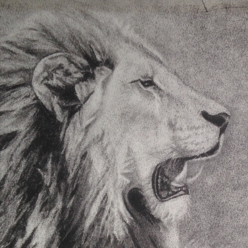 Study 1